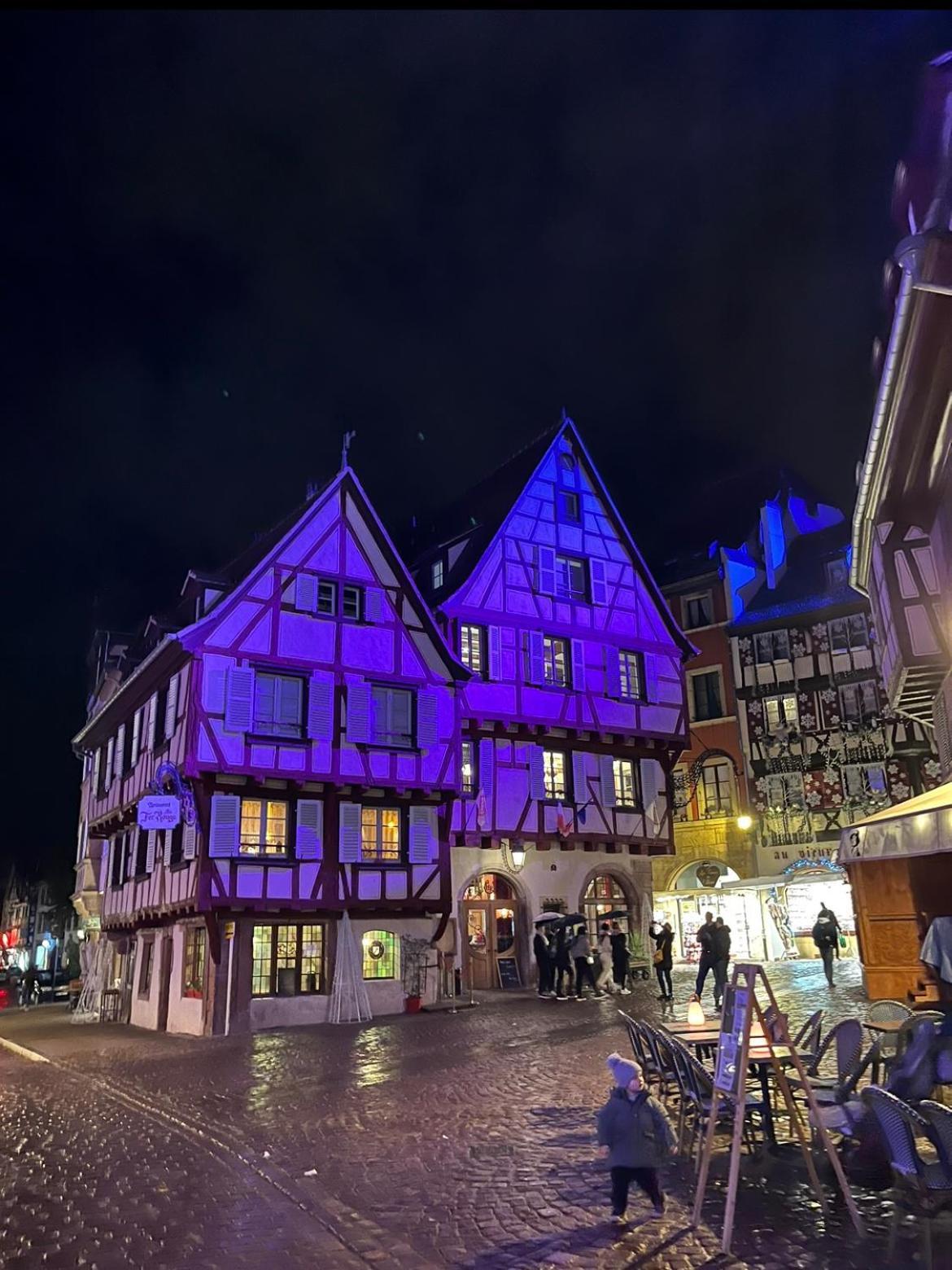 Le Venise, Parking Prive, Neuf & Spacieux Colmar Exterior foto